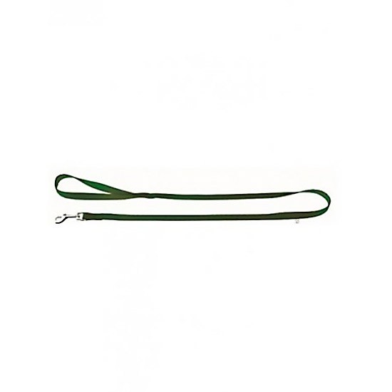 Imagen de Correa nylon verde 25mmx120cm